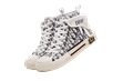 Dior B23