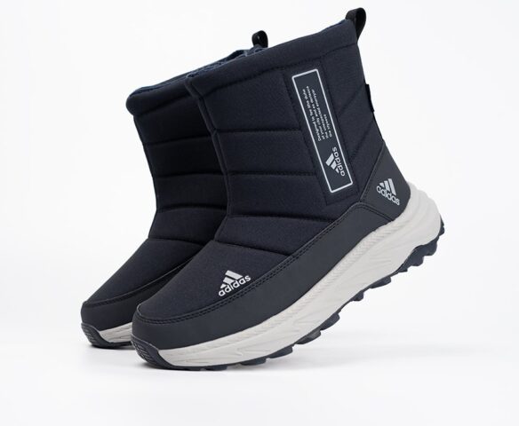 Зимние Adidas Terrex синие